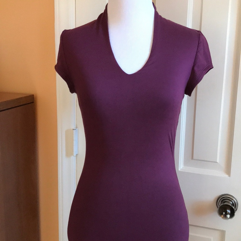 NWOT Joe & Elle Purple Bodycon Dress. Size Small
